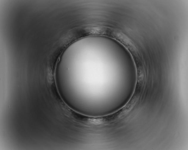 X0000094190469200711091204