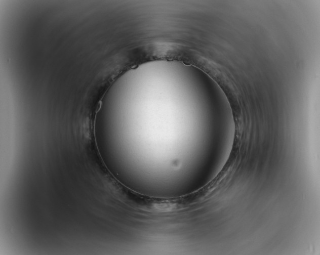 X0000094190470200711091204