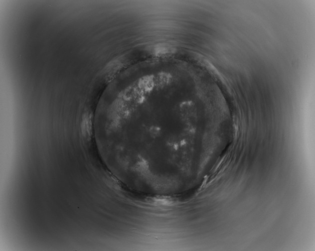 X0000094190475200711091204