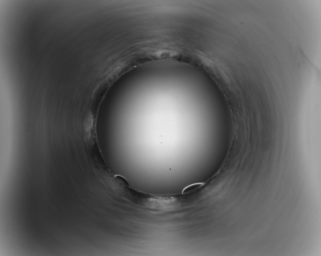 X0000094190480200711091204