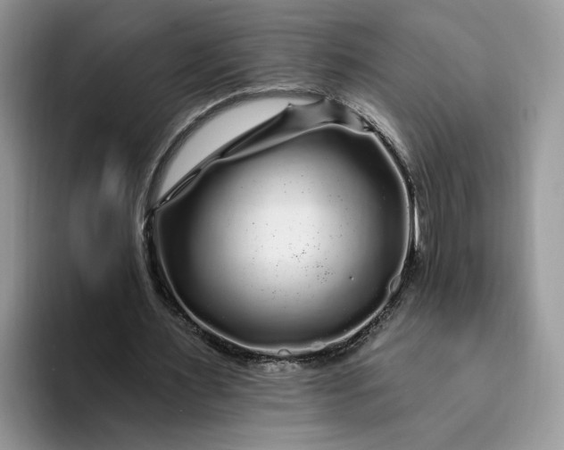 X0000094190483200711091204