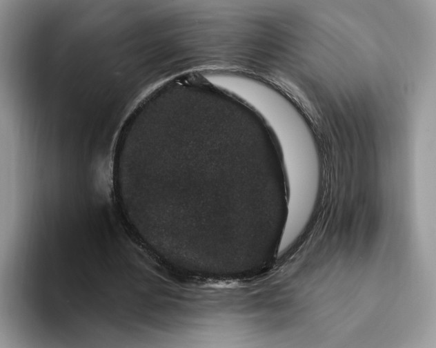 X0000094190484200711091204