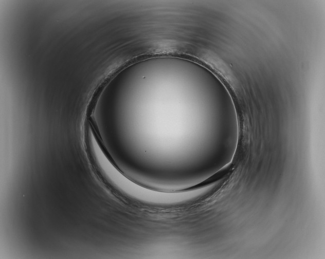 X0000094190485200711091204