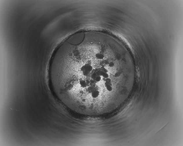 X0000094190487200711091204