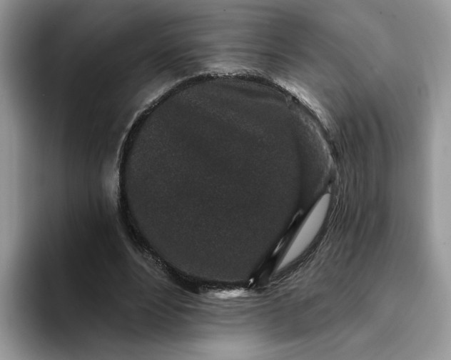 X0000094190488200711091204