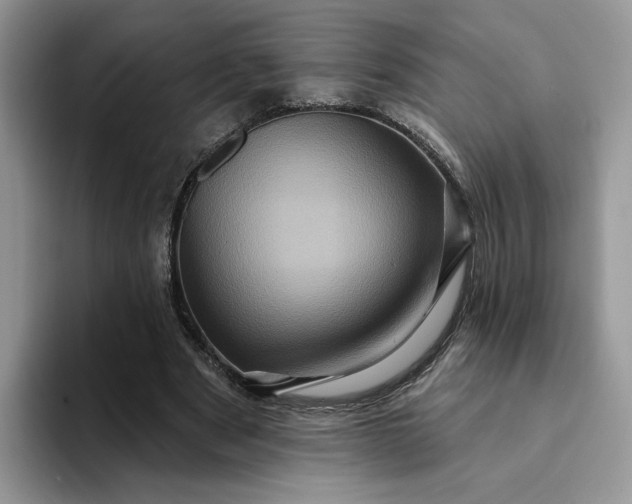 X0000094190489200711091203