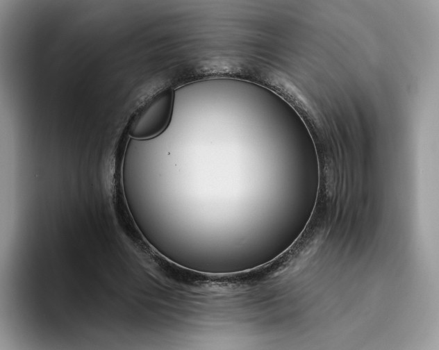 X0000094190490200711091203