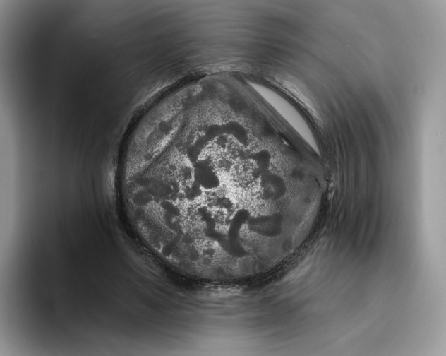 X0000094190491200711091203