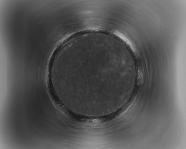 X0000094190492200711091203