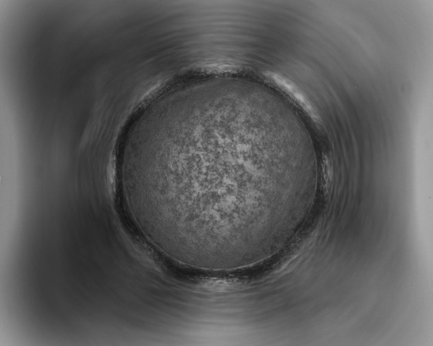 X0000094190494200711091203