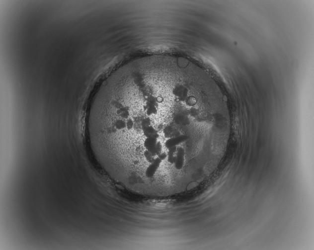 X0000094190495200711091203