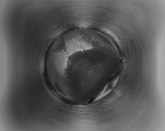 X0000094190496200711091203