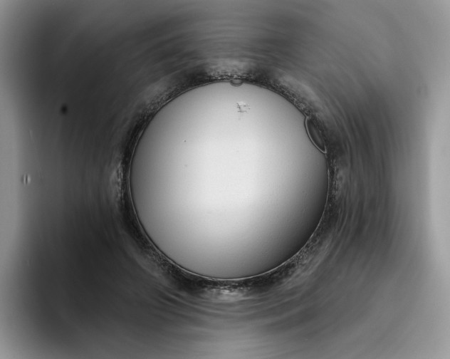 X0000094190498200711091203