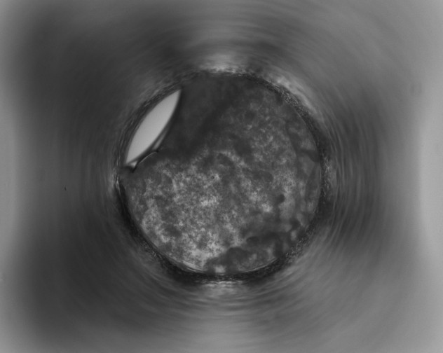 X0000094190499200711091203