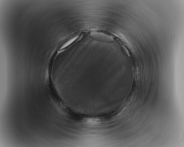 X0000094190500200711091203