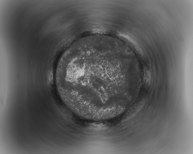 X0000094190502200711091203