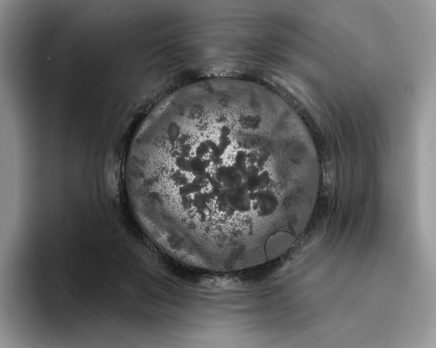 X0000094190503200711091203