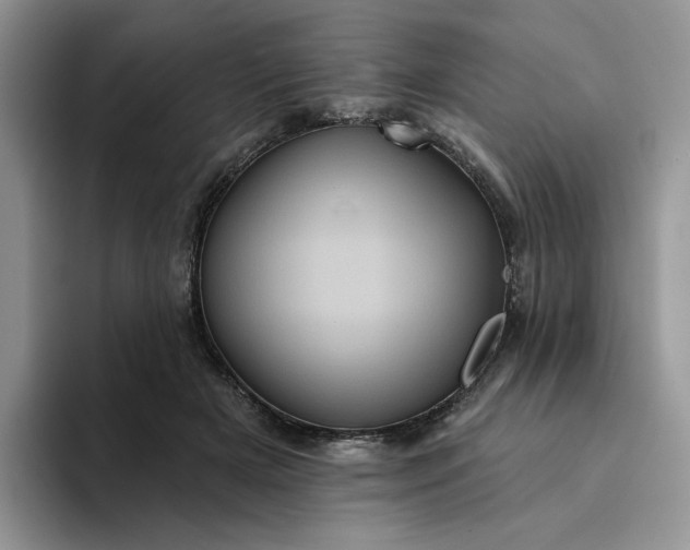 X0000094190505200711091203