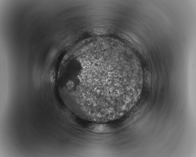 X0000094190507200711091203