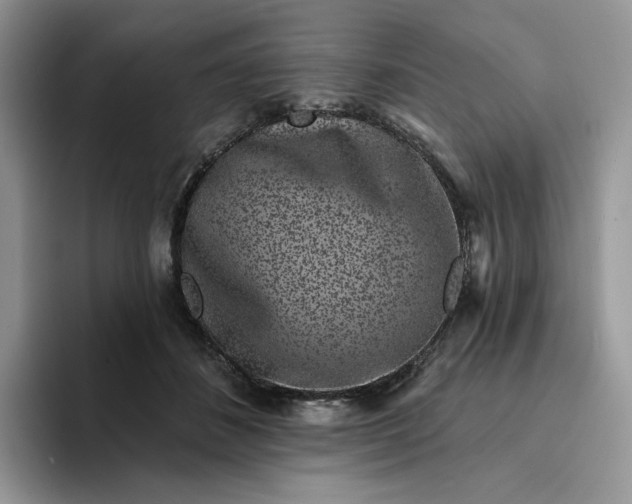 X0000094190508200711091203