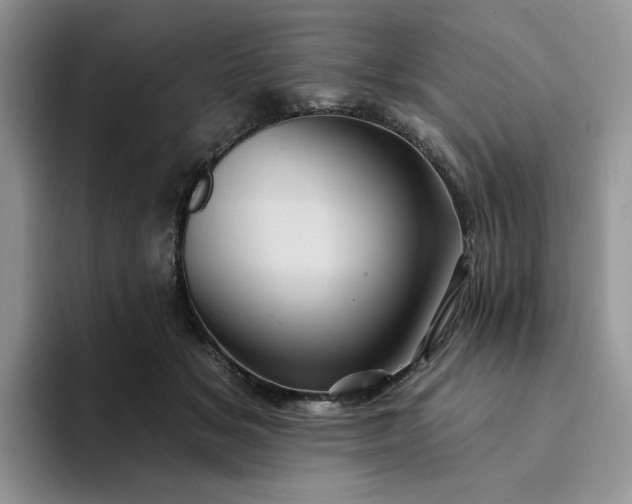 X0000094190509200711091203