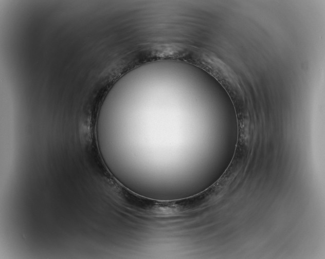 X0000094190510200711091203