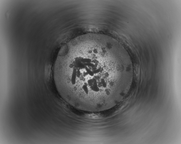 X0000094190511200711091203