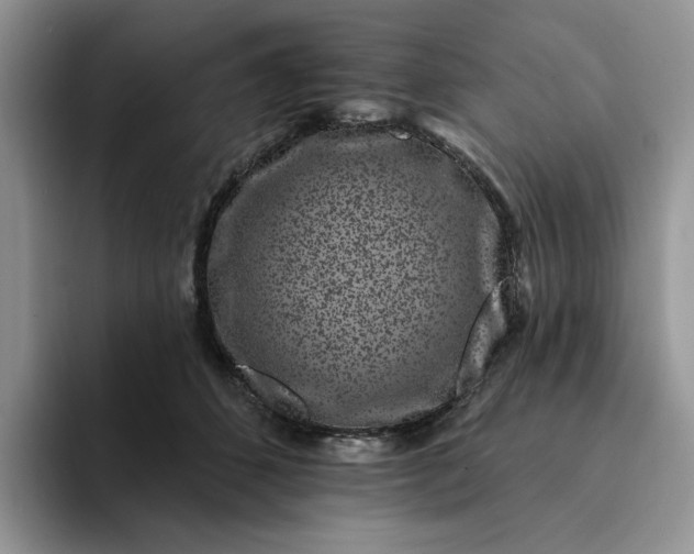 X0000094190512200711091203