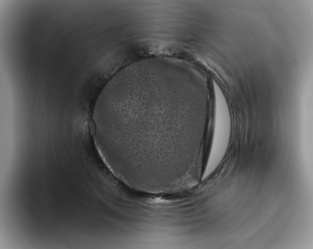 X0000094190513200711091203