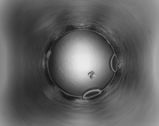 X0000094190515200711091203