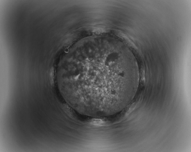 X0000094190519200711091203