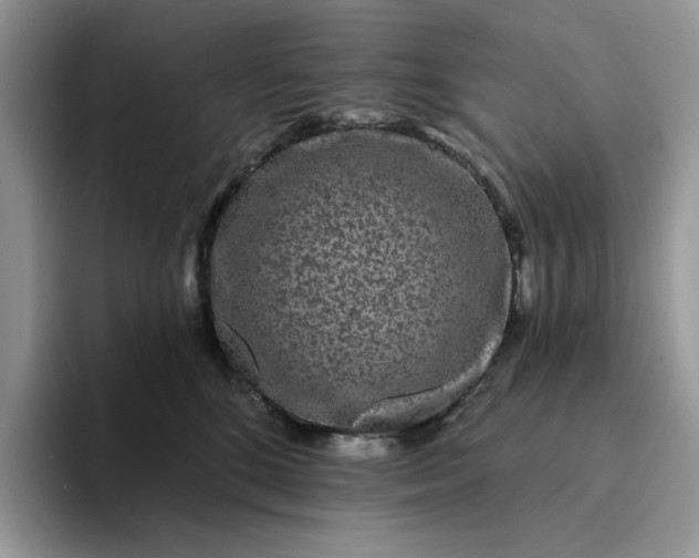 X0000094190520200711091203