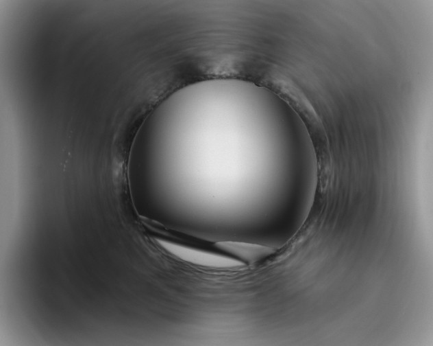 X0000094190521200711091203