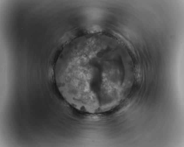 X0000094190523200711091203