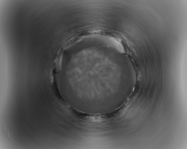 X0000094190524200711091203