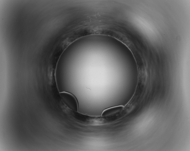 X0000094190525200711091203