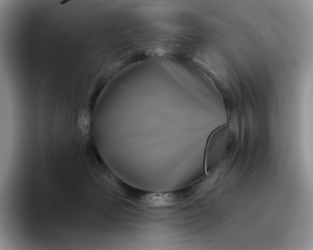 X0000094190526200711091203