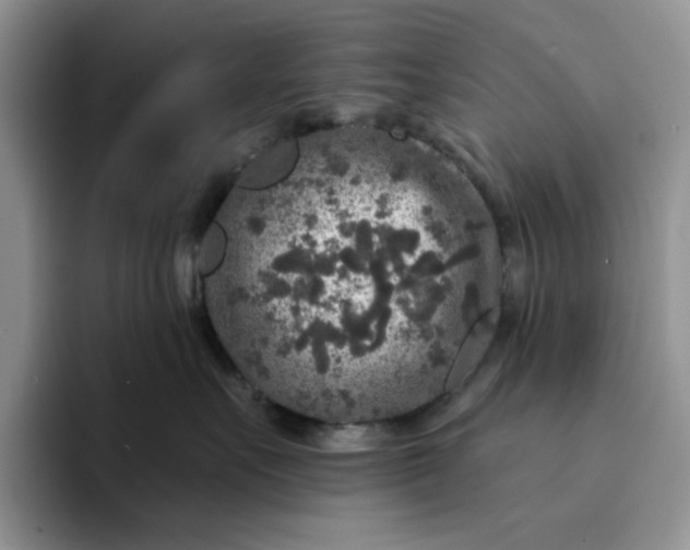 X0000094190527200711091203