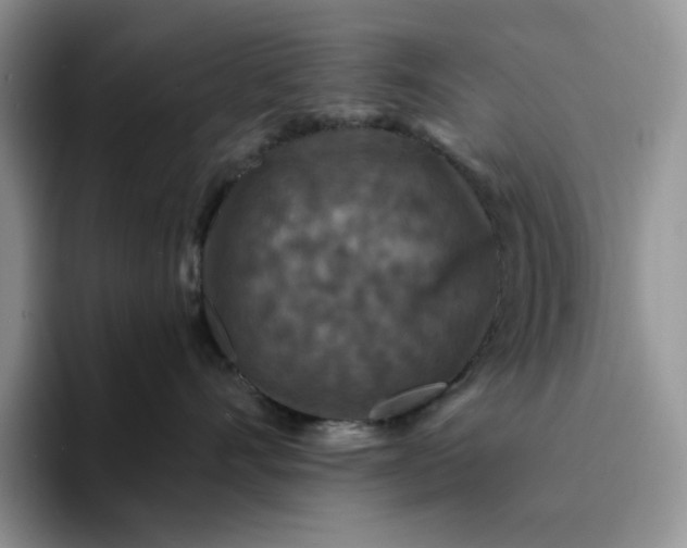 X0000094190528200711091203