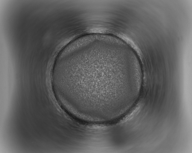 X0000094190529200711091202