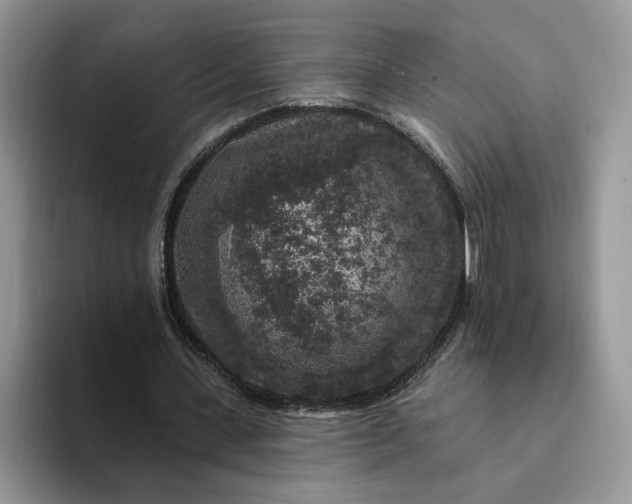 X0000094190531200711091203