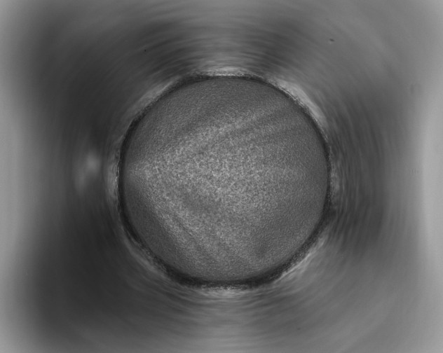 X0000094190533200711091203