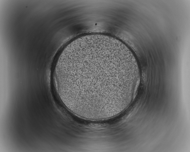 X0000094190534200711091203