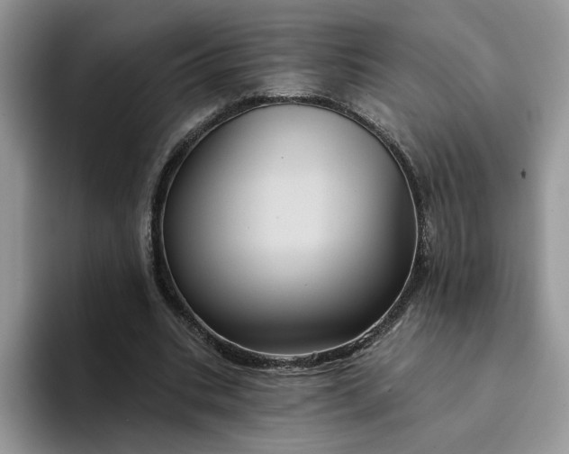 X0000094190535200711091203