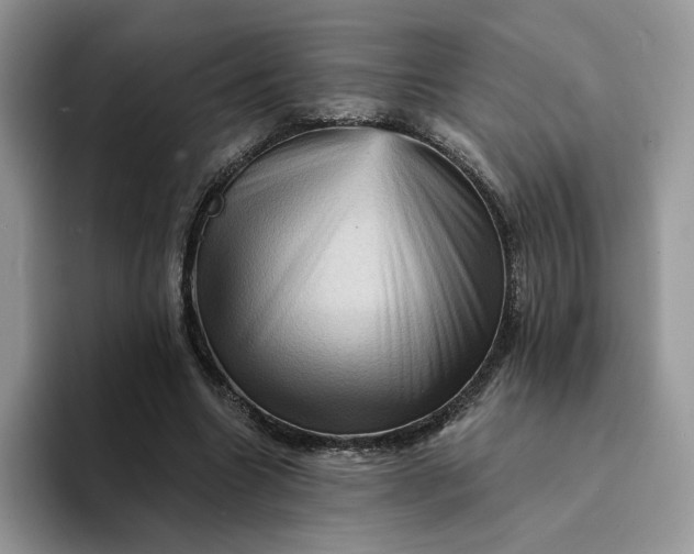 X0000094190538200711091203