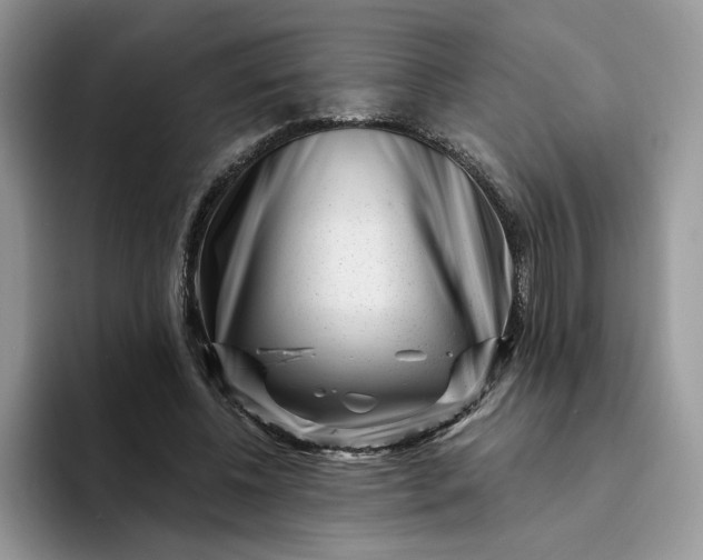 X0000094190540200711091203