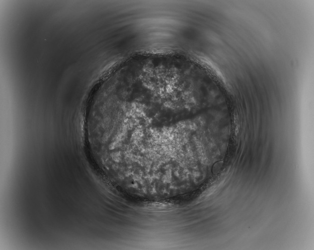 X0000094190542200711091203