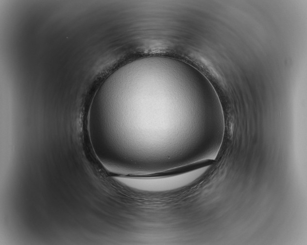 X0000094190543200711091203