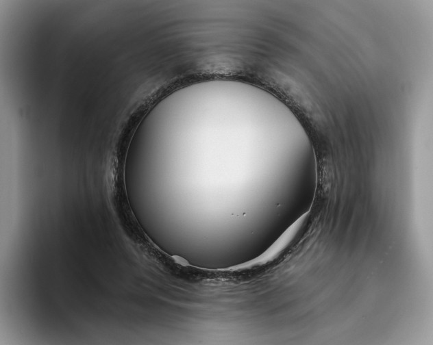 X0000094190544200711091203