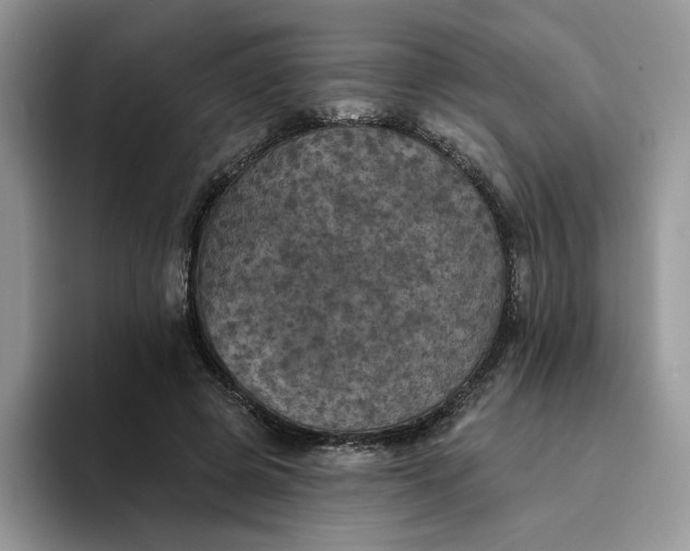 X0000094190545200711091203